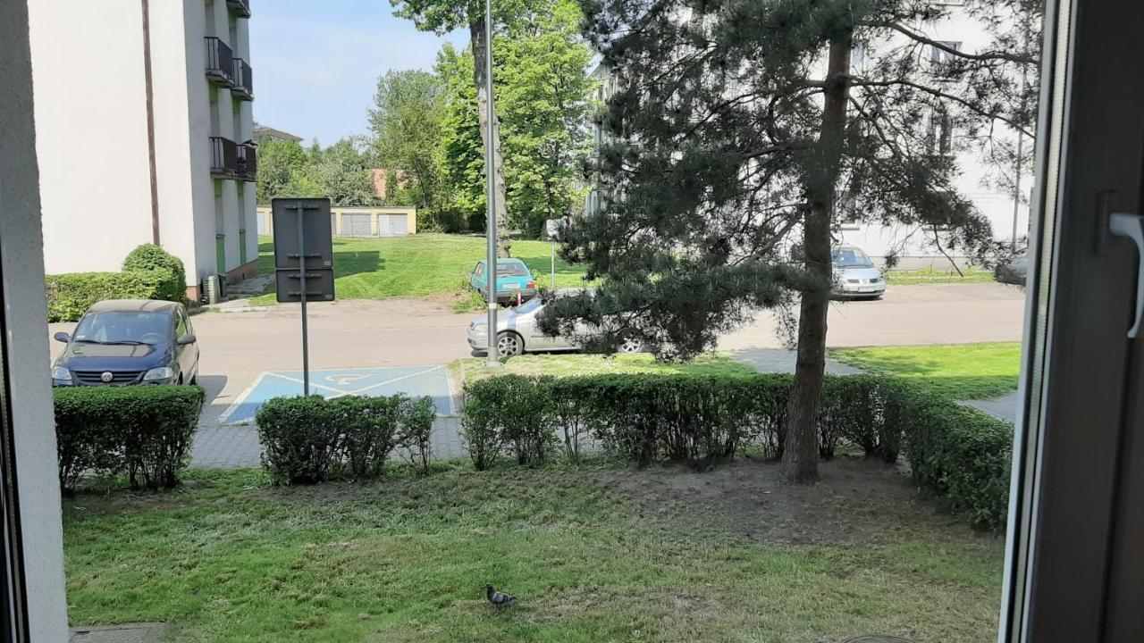 Mieszkanie Vintage Сосновец Екстериор снимка